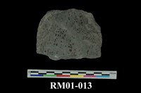 藏品(斑紋雲母板岩)的圖片